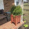 Cedar Planter - Image 4