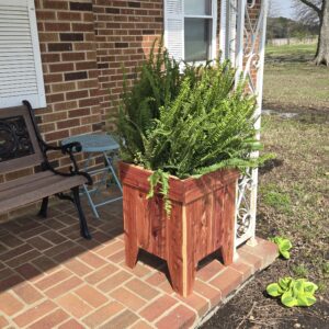 Cedar Planter
